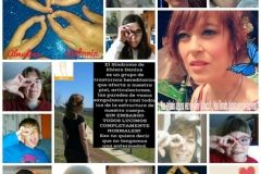 collage 2