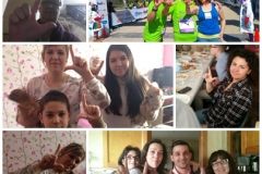 AELIP 1