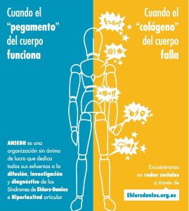Nuevo díptico informativo sobre el SED