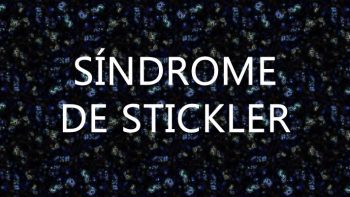 Enlace permanente a:Exploran terapias para el Síndrome de Stickler