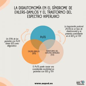 LA DISAUTONOMÍA EN EL SÍNDROME DE EHLERS-DANLOS Y EL TRASTORNO DEL ESPECTRO HIPERLAXO

PoTS

Un 25% de los pacientes con PoTS tienen SED como diagnóstico

La taquicardia postural (PoTS) es un tipo de disautonomía y se presenta comúnmente en el SED y el TEH

EHLERS-DANLOS (SED)
TRANSTORNO DEL ESPECTRO HIPERLAXO (TEH)

El PoTS puede causar una considerable morbilidad en pacientes con SED y TEH

www.aepod.es