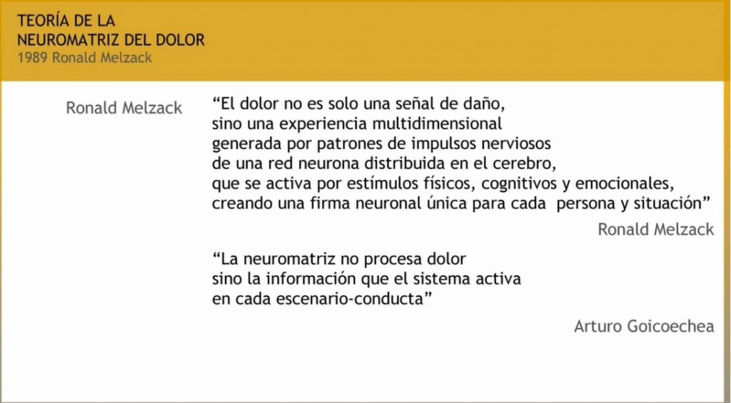 Diapositiva sobre la teoría de la neuromatriz del dolor de Ronald Melzack (1989). Se explica que el dolor no es solo una señal de daño, sino una experiencia multidimensional generada por patrones de impulsos nerviosos de una red neuronal distribuida en el cerebro. Esta red se activa por estímulos físicos, cognitivos y emocionales, creando una “firma neuronal” única para cada persona y cada situación. También se indica que la neuromatriz no procesa directamente el dolor, sino la información que el sistema nervioso activa en cada escenario y conducta, idea atribuida a Arturo Goicoechea.
