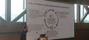 Pilar 2: El Fuego Cruzado (Autoinmunidad y Reactivaci&oacute;n)
Mimetismo Molecular.
Anticuerpos generados contra SARS-CoV-2 presentan reacci&oacute;n cruzada con proteinas del propio hu&eacute;sped, generando autoanticuerpos.
enf ZA, Gonvet CR, Connors T1, Henrich T), Reeves W OVER Mechanistic Pathway Task Force. Pathogenic isms of post-acute sequelae of SARS-CoV-2 (PASC). Elife. 2023 Mar 22:12 86002, dol /eLife 86002. PMID: 36947108; PMCID: 0032659
eri
Agotamiento de C&eacute;lulas T (T-cell exhaustion). El sistema inmune, forzado a una lucha cr&oacute;nica, pierde eficacia regulatoria.
Hiperactivaci&oacute;n de Mastocihos Liberaci&oacute;n cr&oacute;nica de histamina, IL-4, IL-13y TNF-Causa inflamaci&oacute;n tisular y permeabilidad vascular,
Reactivaci&oacute;n Viral Latente. Pat&oacute;genos previamente controlados despiertan (Virus de Epstein-Barr [VEB), HHV-6), sumando su propia carga intom&aacute;tica (fatiga extrerna).