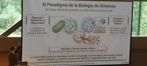 El Paradigma de la Biolog&iacute;a de Sistemas
De tratar s&iacute;ntomas aislados a medir disfunciones en red.
Engranaje 1:
Metabolismo y Mitocondrias.
La producci&oacute;n y distribuci&oacute;n de energ&iacute;a a nivel celular.
Engranaje 2: Inmunidad y Barreras.
El eje intestino-cerebro y la modulaci&oacute;n de la Inflamaci&oacute;n cr&oacute;nica.
Engranaje 3: Sistema Vascular y Ritmos. La sincronizaci&oacute;n circadiana y la perfusi&oacute;n de ox&iacute;geno a los tejidos.
La enfermedad cr&oacute;nica se manifiesta cuando un engranaje se desincroniza, provocando un efecto domin&oacute; sist&eacute;mico. La medicina de precisi&oacute;n Identifica el engranaje exacto que falla.
raphic References
d management of stommoss of myalgic encephalonamyelitis/chronic fatigue syndrome. Mayo Clin Proc. 2973